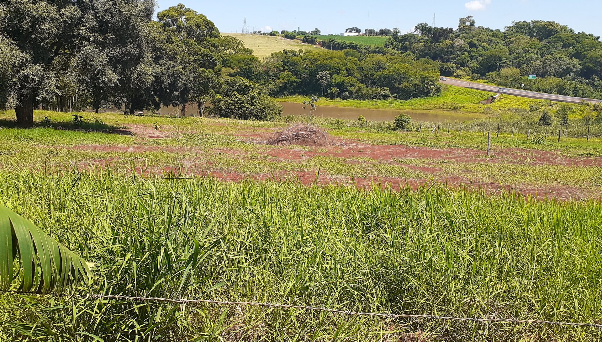 Terreno